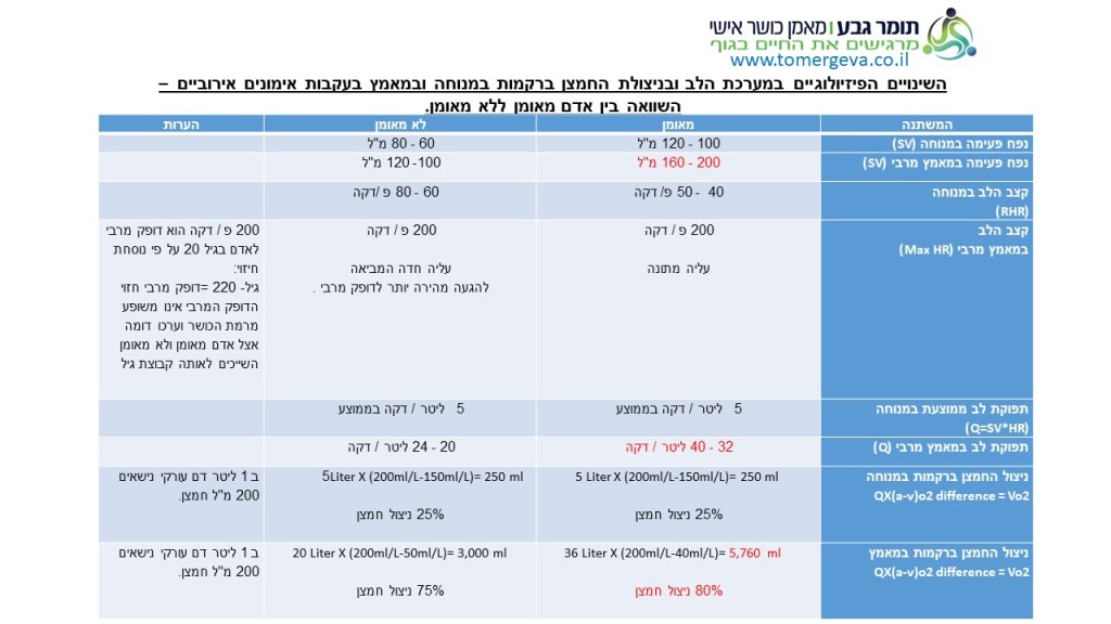 שקופית1